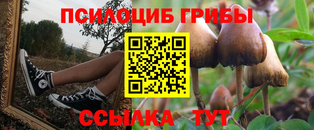Галлюциногенные грибы прущие грибы Строитель