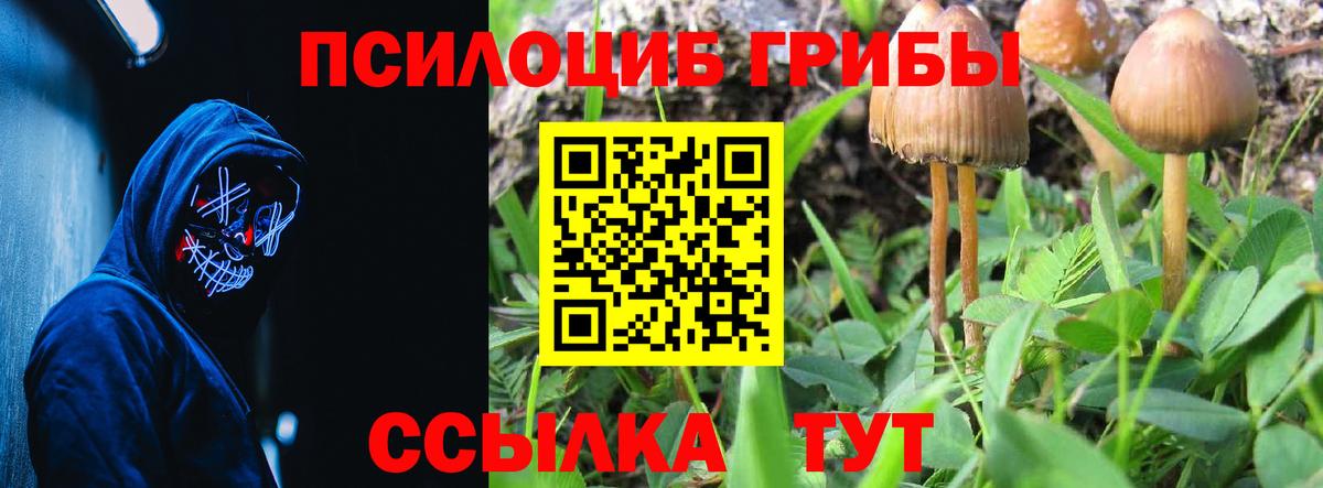 Галлюциногенные грибы ЛСД  Галлюциногенные грибы MAGIC MUSHROOMS  Строитель  Вход с VPN 